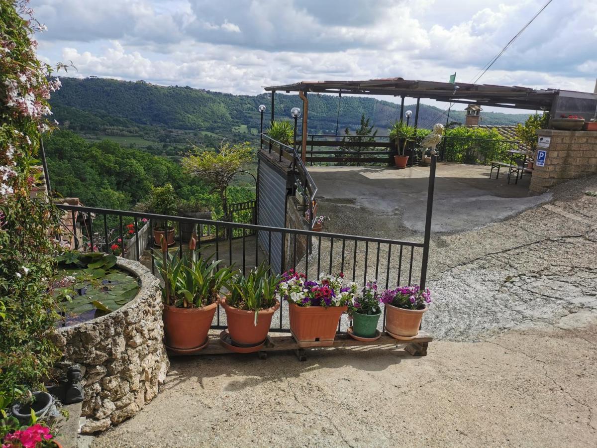 Francigena Sul Lago Montefiascone Kültér fotó